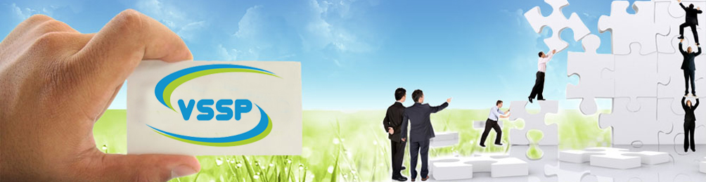 VSSP Organization